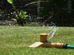 Schonen Sie Garten und Budget mit Regenwasser
