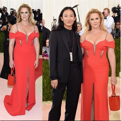 Amy Schumer in Alexander Wang