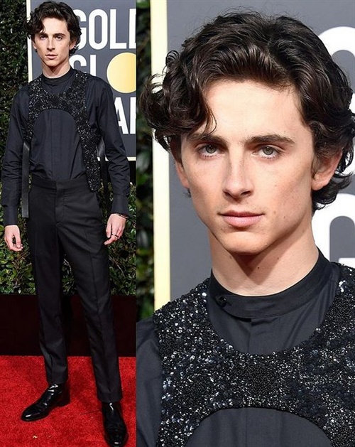 Timothee Chalamet in Louis Vuitton